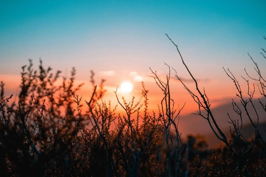 Psychedelic-assisted therapy preparation and integration at Succoris Psychology